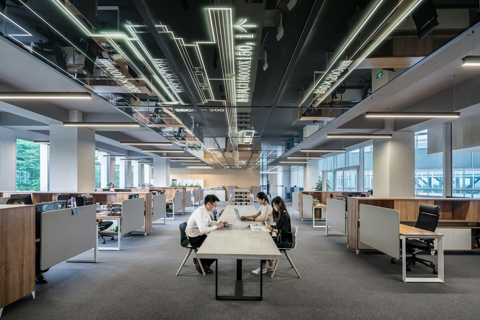Oficina de Loopy, un espacio abierto y luminoso